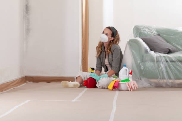 Reliable Mold Remediation contractor in Oceanport, NJ by 24 Hour Mold Removal